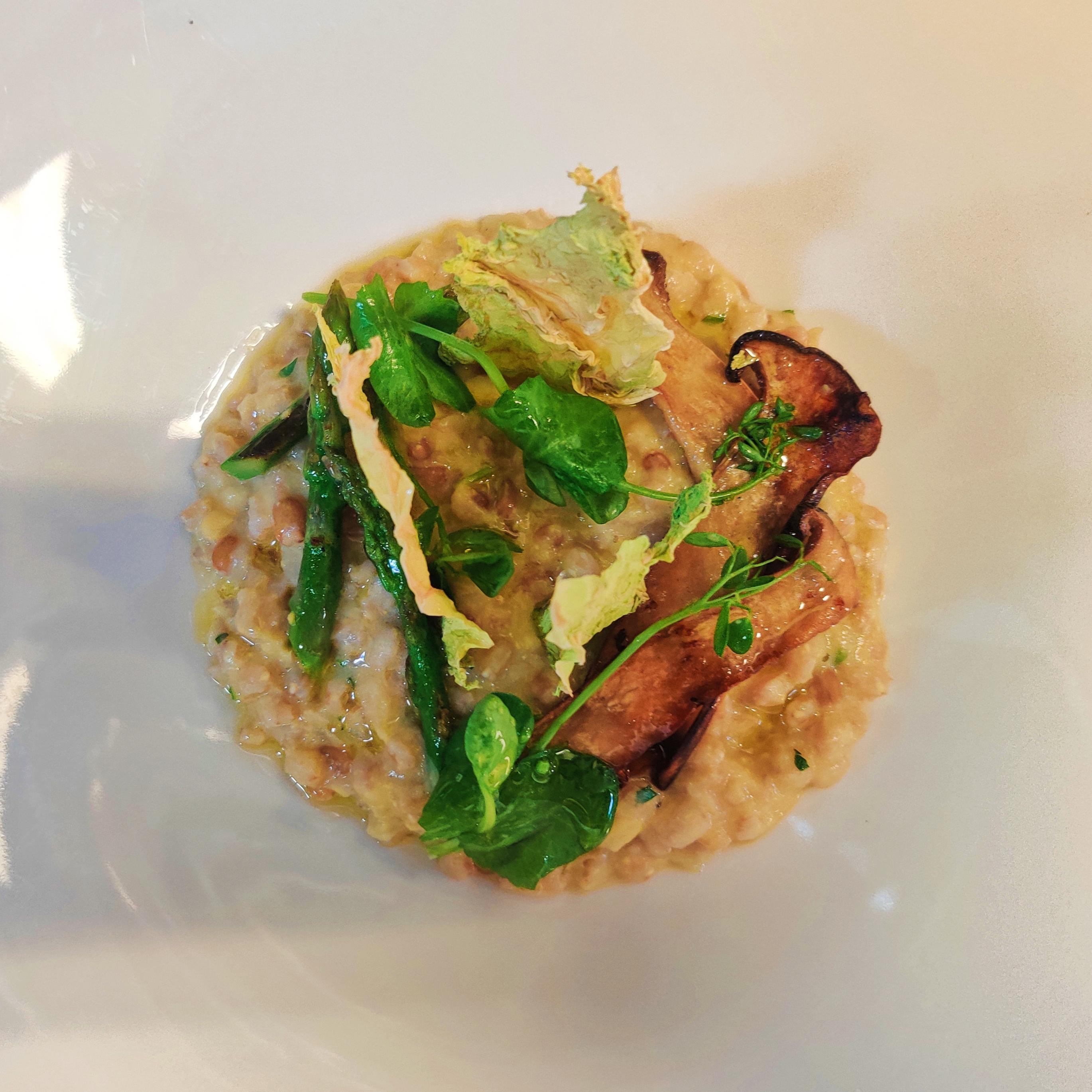 Sweetcorn Farro topped with grilled oyster mushrooms, asparagus, and pea shoots served on a white plate.